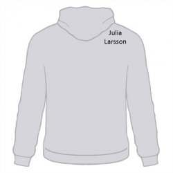 skoltröja Ekliden Hoodie Askgrå
