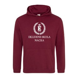Skoltröja Ekliden Hoodie...